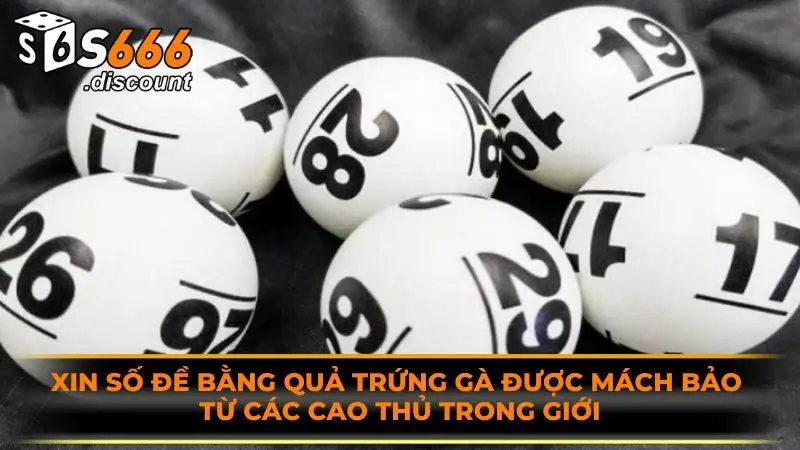 Xin số đề bằng quả trứng gà được mách bảo từ các cao thủ trong giới